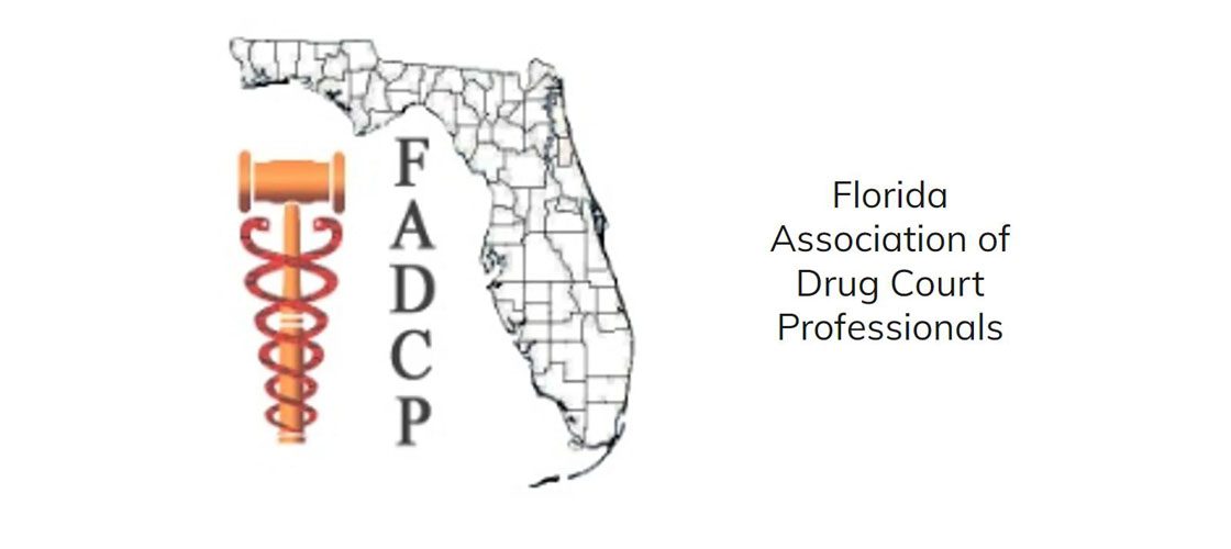 17th Circuit Misdemeanor Drug Court Program Highlighted