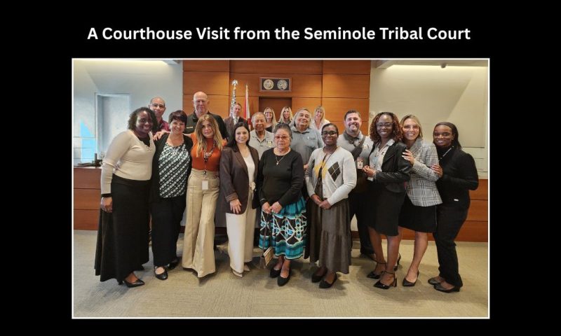 Judicial Collaboration in Action