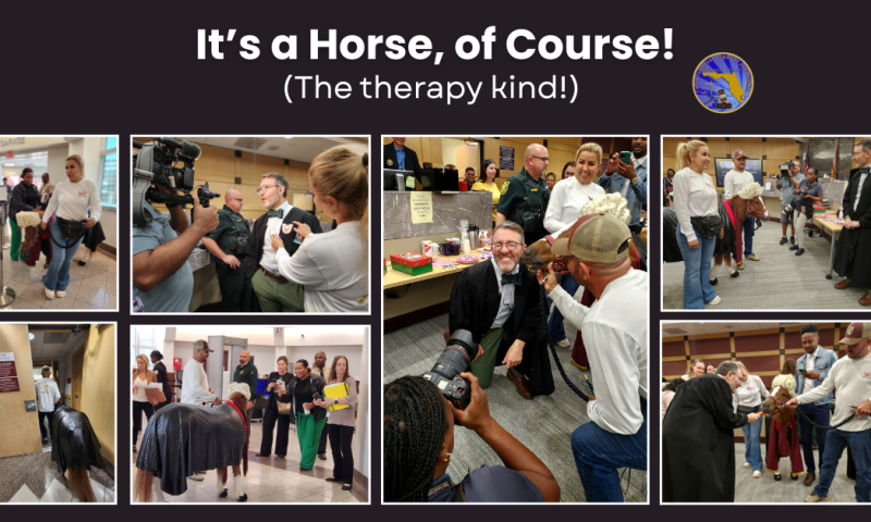 A Horse in Court? Of Course!